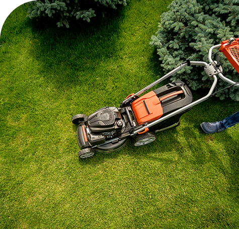 What Is Lawn Care Insurance?